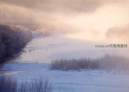 河畔薄雾中，水鸟悠然戏清波