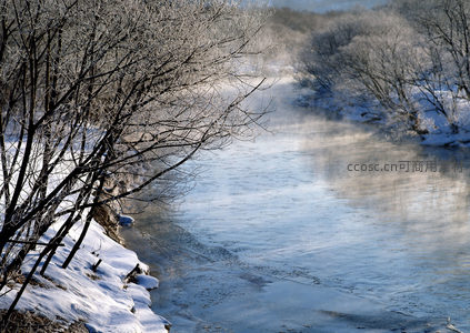 雾气缭绕的冰河，雪岸枯枝映衬