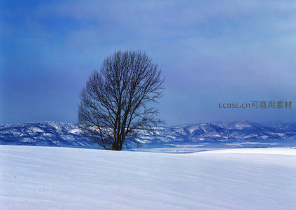 孤树傲立雪原，远山如黛映蓝天