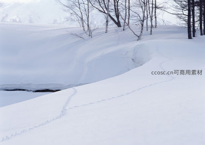 雪坡足迹蜿蜒，林间小径引人探
