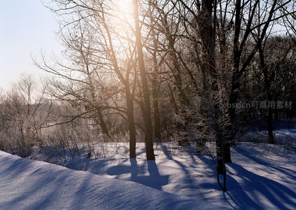 冬日暖阳穿透雪林洒下斑驳光影