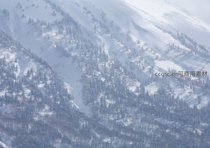 航拍雪山，苍茫林海银装素裹
