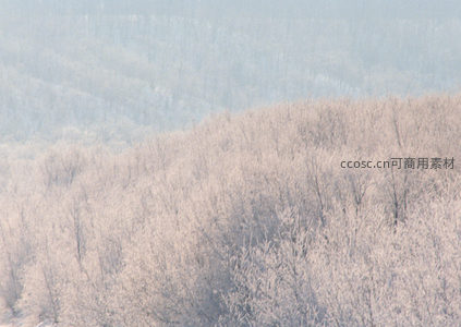 冬日山林雾凇奇观，银装素裹如梦似幻