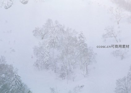 雾锁雪林，若隐若现仙境