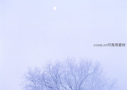 月悬雾空，枯枝剪影如墨