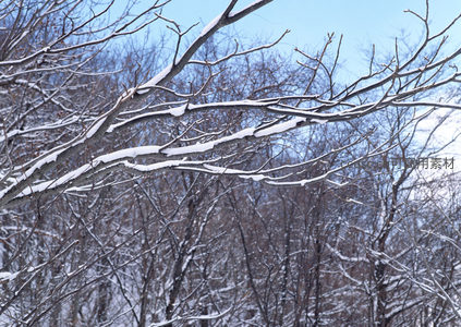 雪压林梢，冬日森林航拍