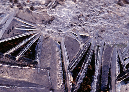 地面霜花绽放几何奇观