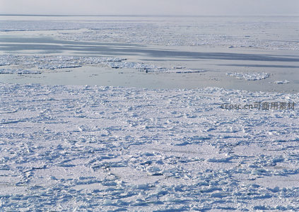 远眺冰封水域与零散浮冰的壮阔景象