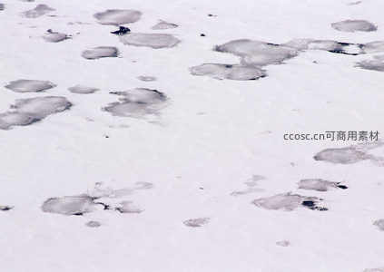 雪原上圆形冰洞分布图