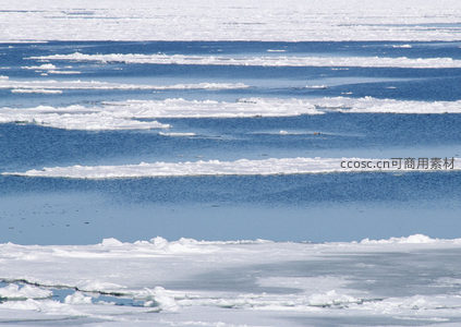 层层叠叠的浮冰铺满蓝色水域