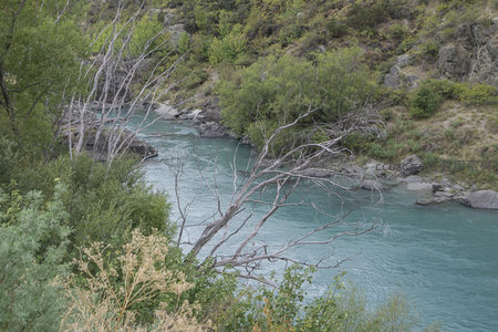 枯枝探入碧流，峡谷溪水潺潺