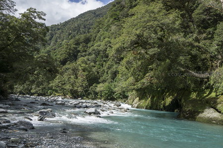 激流穿越林间石滩奔涌向前