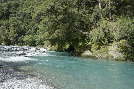 溪流轻抚苔藓覆盖的河岸