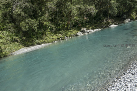 清澈溪流穿林而过，碧水映衬绿意盎然