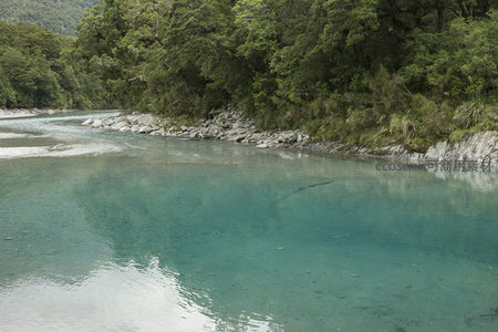 清澈碧绿的山间溪流穿行于茂密森林之中