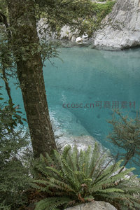 俯瞰幽深峡谷中的翡翠色潭水与蕨类植物