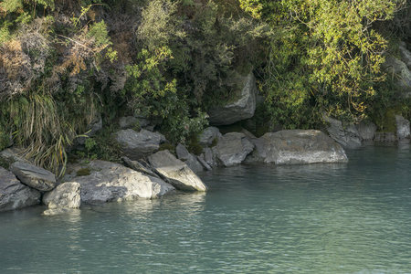 溪畔绿荫，石滩静卧水边