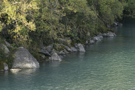 林荫水岸，石径蜿蜒入画