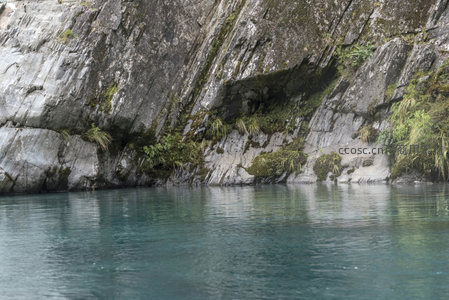 峭壁之下碧波荡漾，绿植攀附显生机