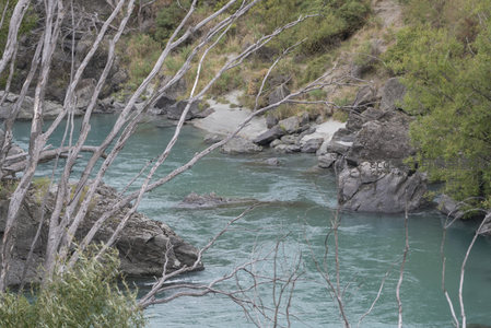 枯枝掩映下，溪流穿石过