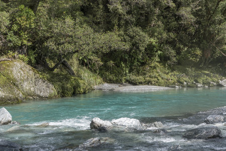 碧水穿林间，清流映翠色
