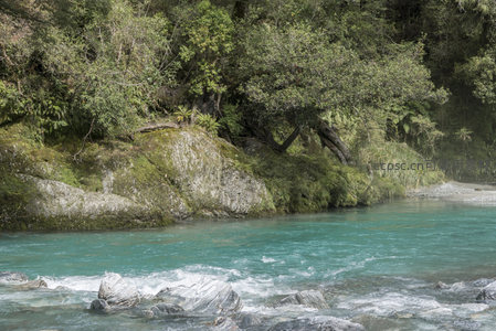 绿荫覆岸石，溪水绕青苔