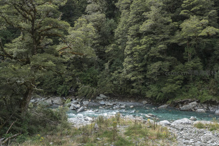 幽谷藏碧水，林深鸟自鸣