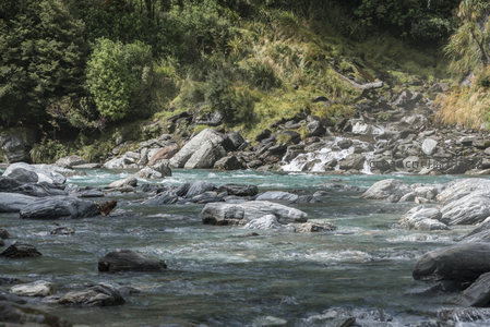 碧水绕石林间流，绿树掩映野趣浓