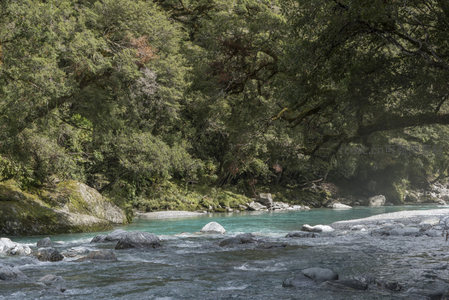 幽深林谷溪水蜿蜒，碧波荡漾映绿荫