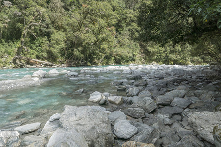 清澈溪流穿行于青翠山林间的石滩