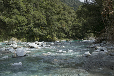 蜿蜒溪流在浓密树林环抱中静静流淌