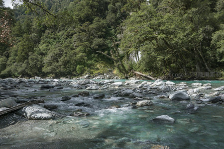 林间溪流绕过散落巨石流向远方山谷