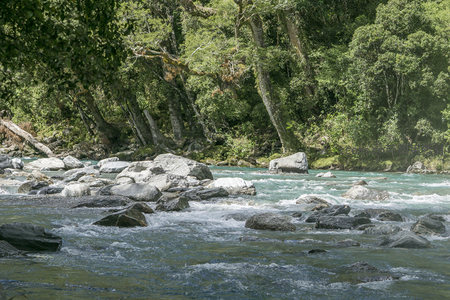 山涧溪流穿石而过，绿树成荫水花飞溅