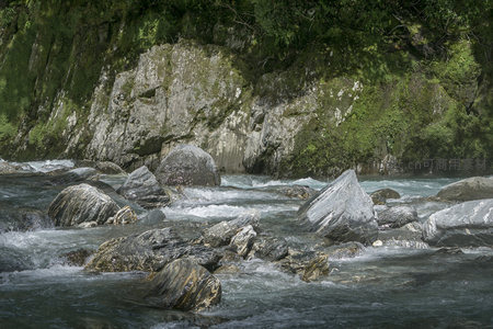 峡谷溪流穿岩而过，绿意盎然生机勃勃