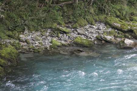 河岸青苔覆石，流水潺潺映绿意