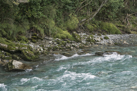 清澈溪流穿行青苔石岸，自然野趣盎然
