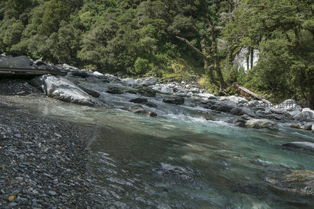 清澈溪流穿行于青翠山林之间