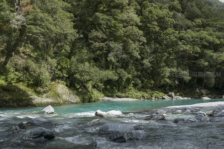 静谧河湾被浓密树冠温柔环抱