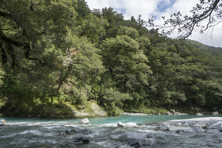 蓝天白云下森林溪谷风光旖旎