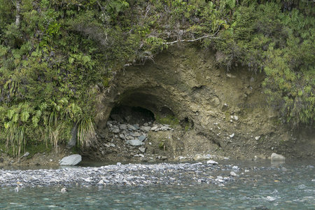 河岸岩洞隐匿于蕨类植被之中