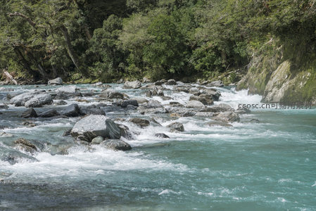 碧水激流穿石林，绿树环抱自然景
