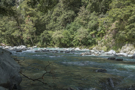 林荫河岸水清浅，石影婆娑映碧潭
