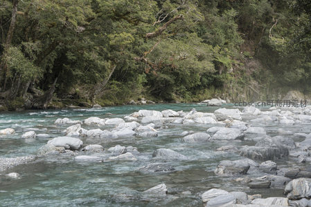 白石满河床，绿林环抱碧水长流不息