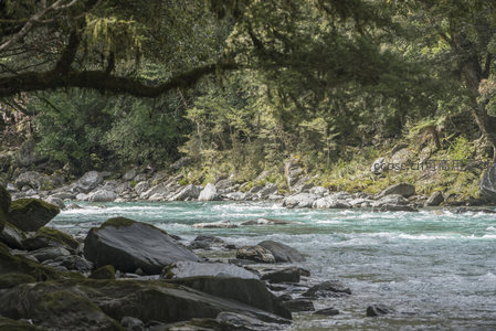 林间碧水湍流不息，巨石错落如画中景