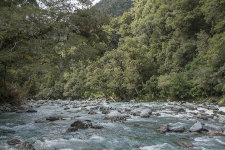 山涧溪流穿林而过，碧水激石溅起白浪