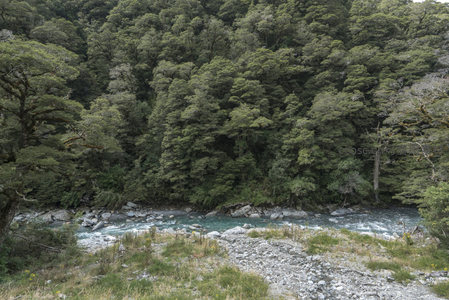 山涧溪流穿林而过，碧水激石映苍翠
