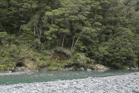 青翠林木环抱静谧河湾，水清见底
