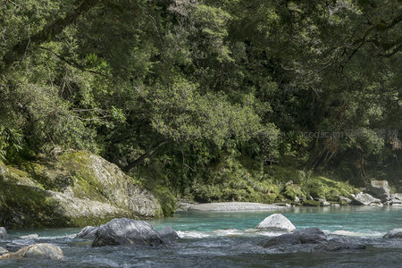 阳光穿透林隙洒落碧潭，巨石静卧水中