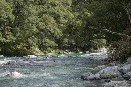 绿树掩映清溪，石上流水潺潺