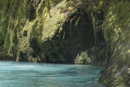 碧水穿行苔藓峡谷，自然秘境风光